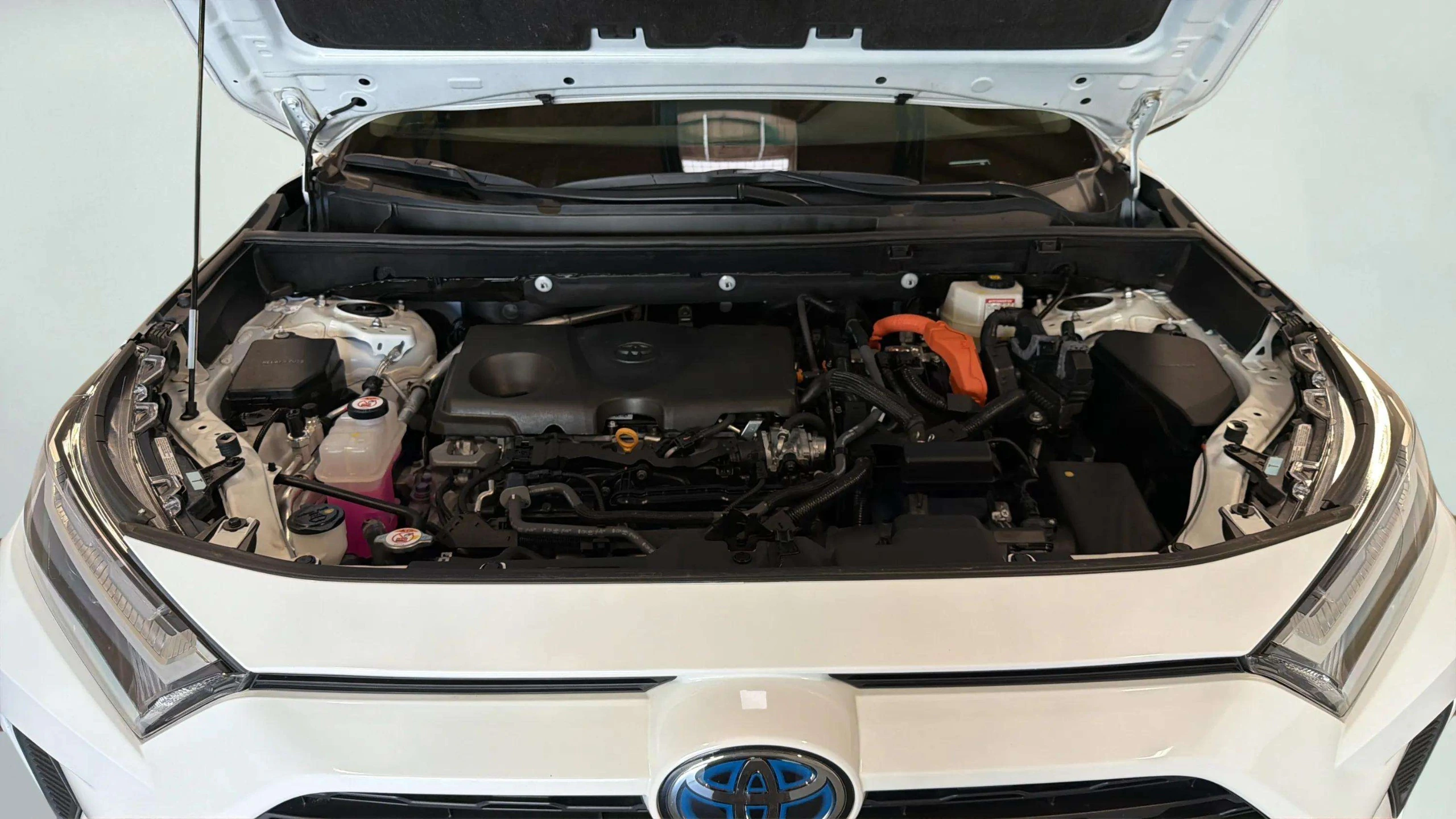 2024 Toyota RAV4 LE - Photo 14